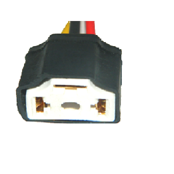 Conector de porcelona
