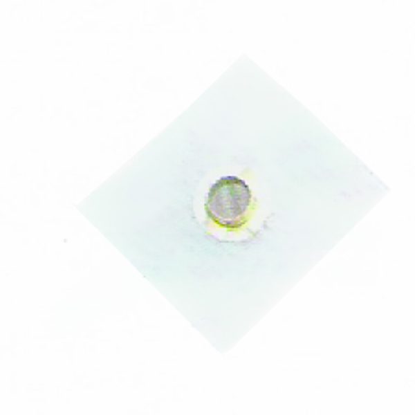 Filtro interno de gasolina