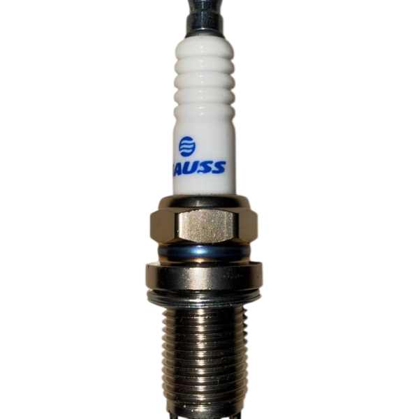 Bujia Fiat Brava Marea Palio (doble electrodo)